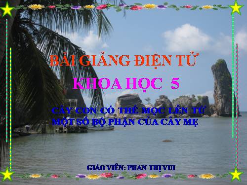 Bài 54. Cây con có thể mọc lên từ một số bộ phận của cây mẹ