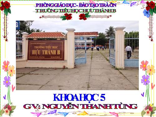 Bài 51. Cơ quan sinh sản của thực vật có hoa