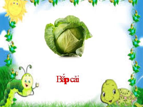 Bài 24. Đồng và hợp kim của đồng