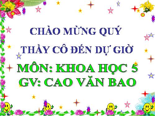 Bài 51. Cơ quan sinh sản của thực vật có hoa