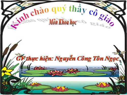 Bài 53. Cây con mọc lên từ hạt