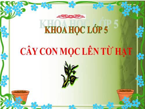 Bài 53. Cây con mọc lên từ hạt