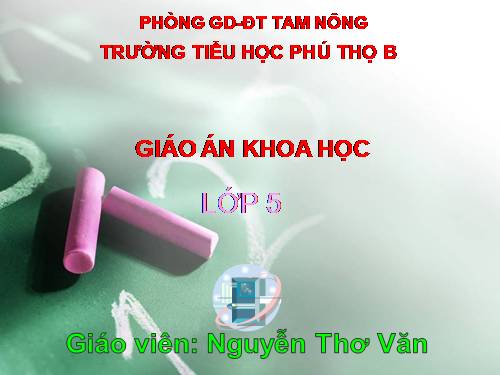 Bài 38-39. Sự biến đổi hóa học