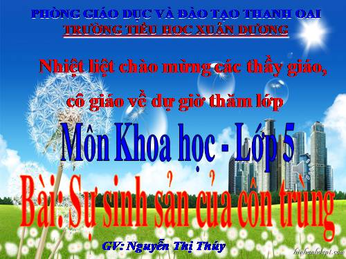 Bài 56. Sự sinh sản của côn trùng