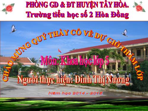 Bài 19. Phòng tránh tai nạn giao thông đường bộ