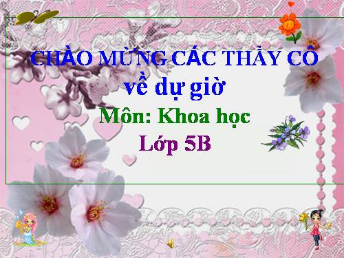 Bài 29. Thuỷ tinh