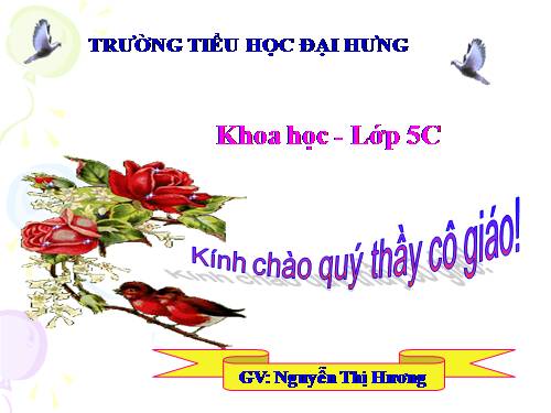 Bài 24. Đồng và hợp kim của đồng