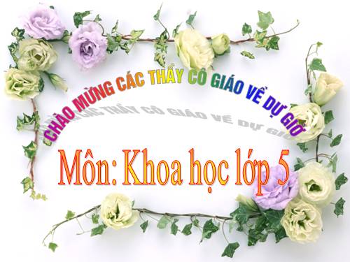 Bài 27. Gốm xây dựng: gạch, ngói