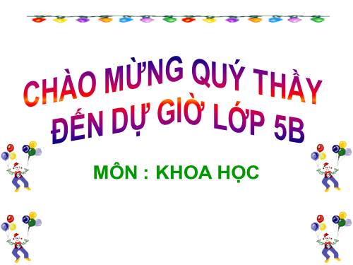 Bài 16. Phòng tránh HIV / AIDS