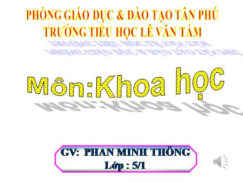 Bài 19. Phòng tránh tai nạn giao thông đường bộ