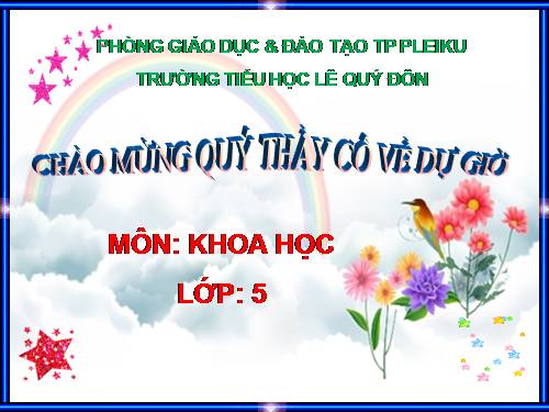 Bài 13. Phòng bệnh sốt xuất huyết