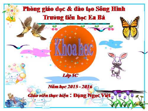 Bài 12. Phòng bệnh sốt rét