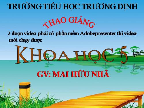 Bài 13. Phòng bệnh sốt xuất huyết