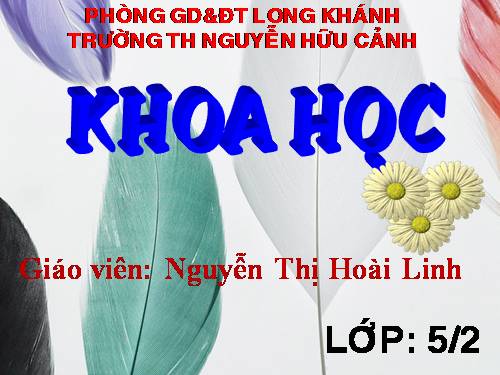 Bài 16. Phòng tránh HIV / AIDS