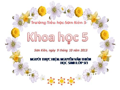 Bài 16. Phòng tránh HIV / AIDS