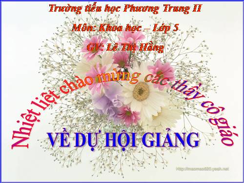 Bài 15. Phòng bệnh viêm gan A