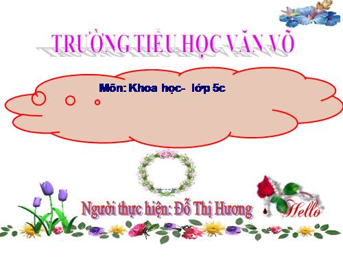 Bài 14. Phòng bệnh viêm não