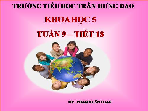 Bài 18. Phòng tránh bị xâm hại