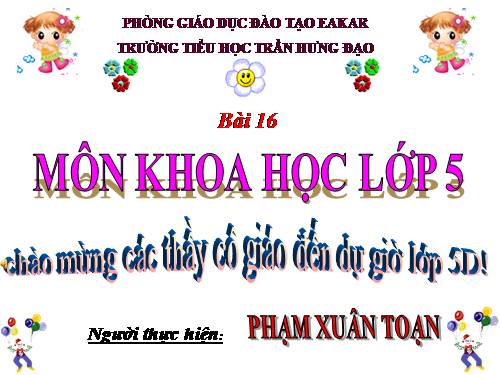 Bài 16. Phòng tránh HIV / AIDS