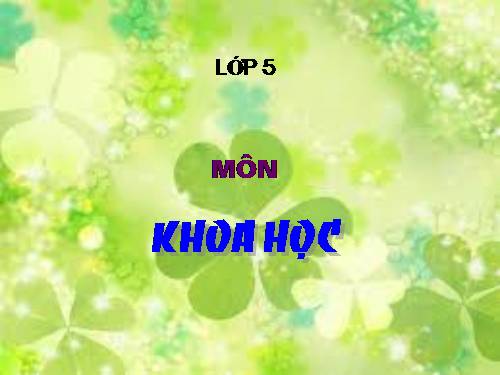 Bài 6. Từ lúc mới sinh đến tuổi dậy thì