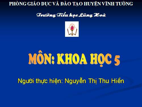 Bài 22. Tre, mây, song