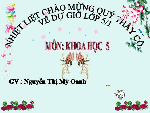 Bài 13. Phòng bệnh sốt xuất huyết