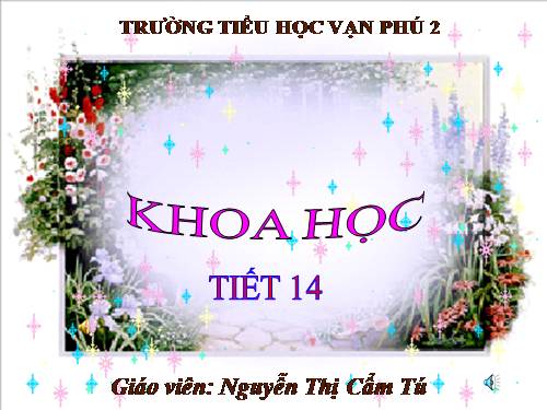 Bài 14. Phòng bệnh viêm não