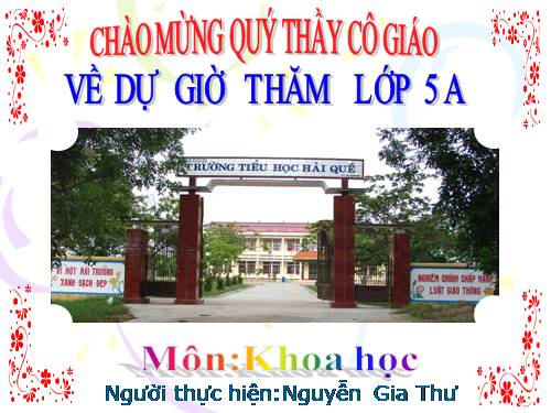 Bài 62. Môi trường