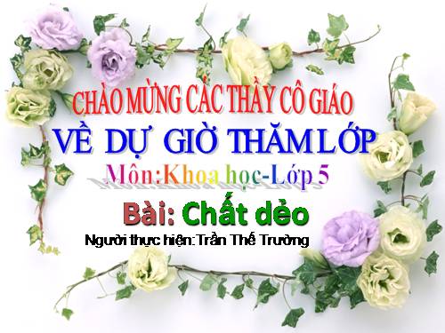 Bài 31. Chất dẻo