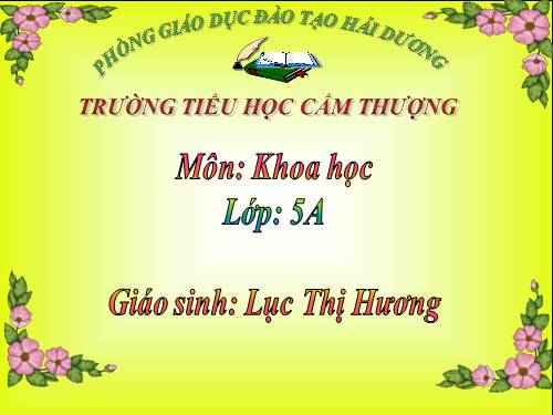 Bài 32. Tơ sợi