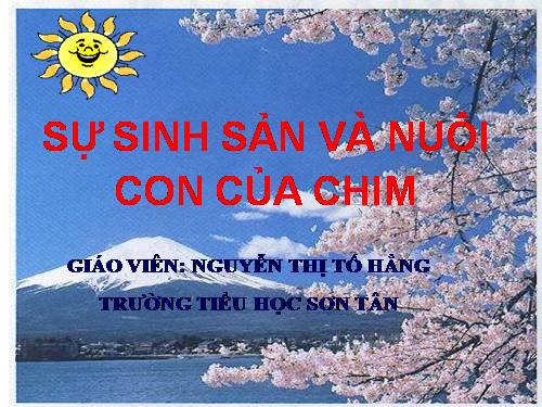 Bài 58. Sự sinh sản và nuôi con của chim