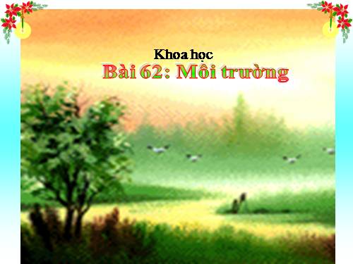 Bài 62. Môi trường