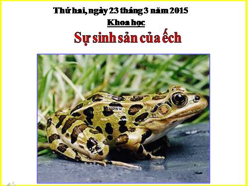 Bài 57. Sự sinh sản của ếch