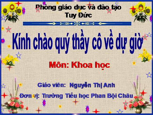 Bài 19. Phòng tránh tai nạn giao thông đường bộ