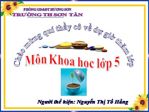 Bài 53. Cây con mọc lên từ hạt