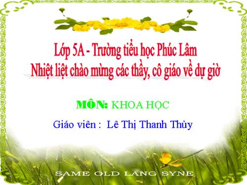 Bài 18. Phòng tránh bị xâm hại