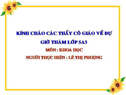 Bài 52. Sự sinh sản của thực vật có hoa