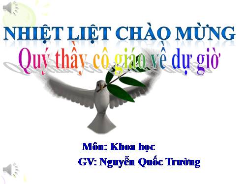 Bài 51. Cơ quan sinh sản của thực vật có hoa