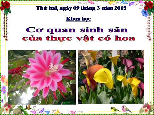 Bài 51. Cơ quan sinh sản của thực vật có hoa