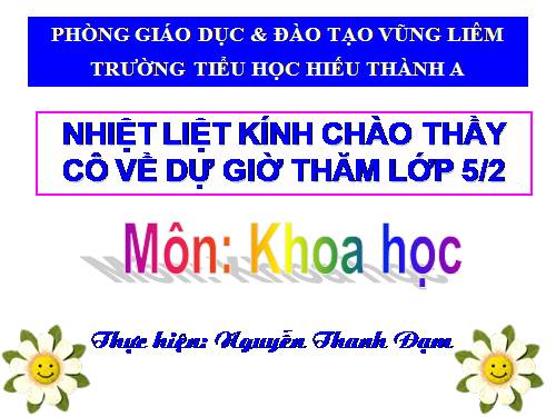 Bài 41. Năng lượng mặt trời