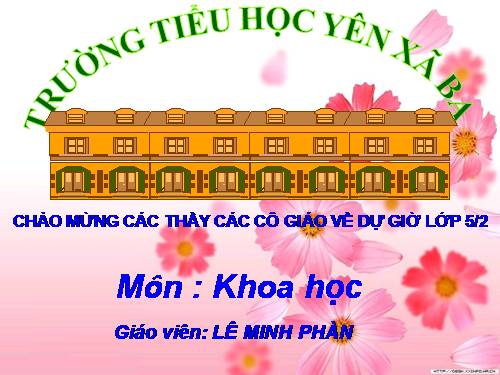 Bài 44. Sử dụng năng lượng gió và năng lượng nước chảy