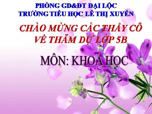 Bài 44. Sử dụng năng lượng gió và năng lượng nước chảy