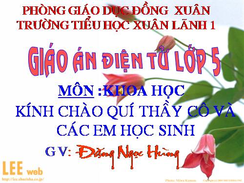 Bài 40. Năng lượng