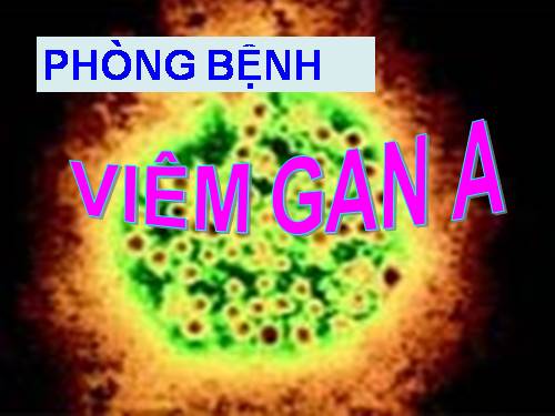 Bài 15. Phòng bệnh viêm gan A