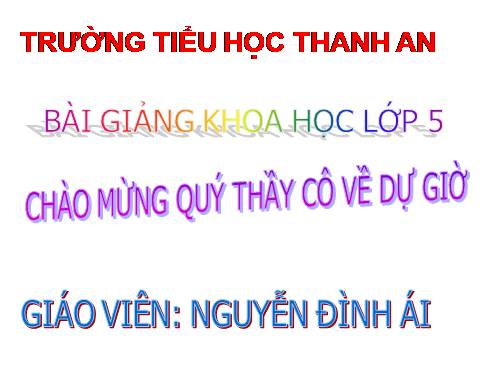 Bài 19. Phòng tránh tai nạn giao thông đường bộ