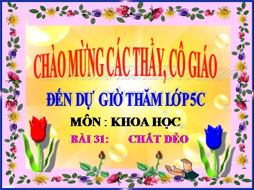 Bài 31. Chất dẻo