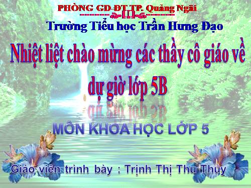 Bài 29. Thuỷ tinh