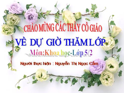 Bài 31. Chất dẻo