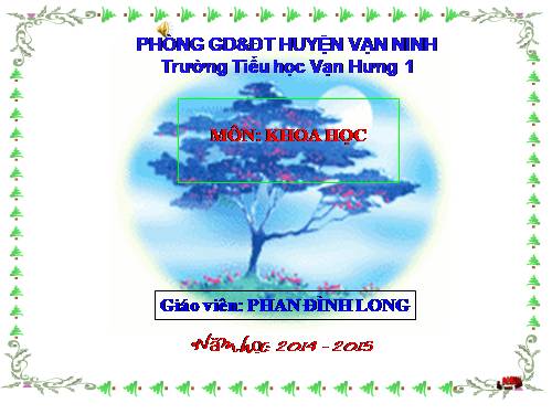 Bài 19. Phòng tránh tai nạn giao thông đường bộ