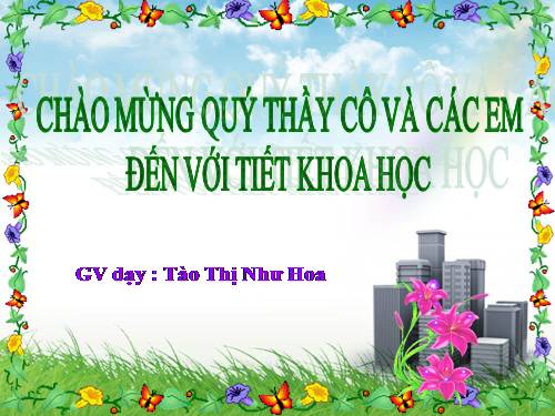 Bài 15. Phòng bệnh viêm gan A